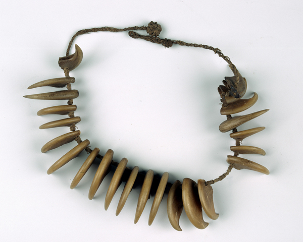 Leopard's claw necklace worn by King Cetshwayo, 1879