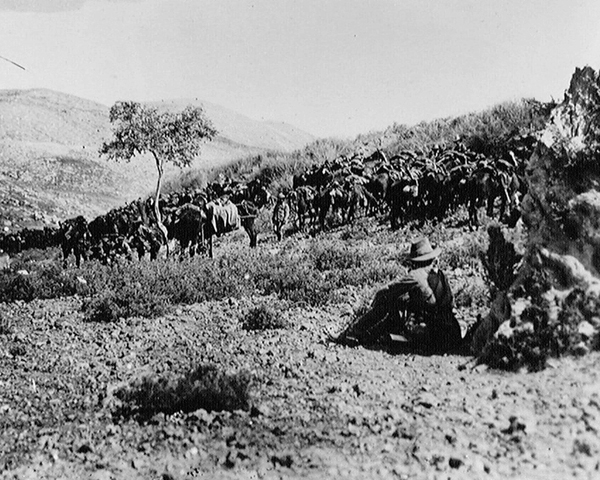 Australian cavalry waiting outside Nablus in Palestine, 1918