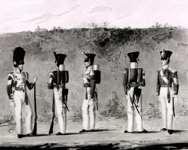 Sergeants of the 46th (South Devonshire) Regiment, 1837