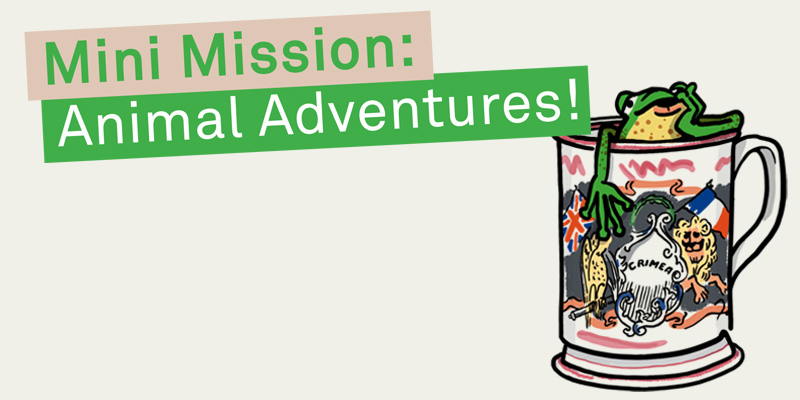Mini Mission: Animal Adventures