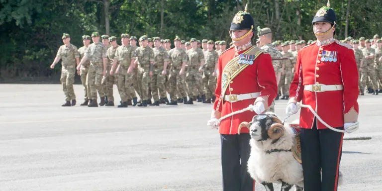 The Mercian Regiment and their mascot celebrate Formation Day at Dale Barracks, Chester, 2015