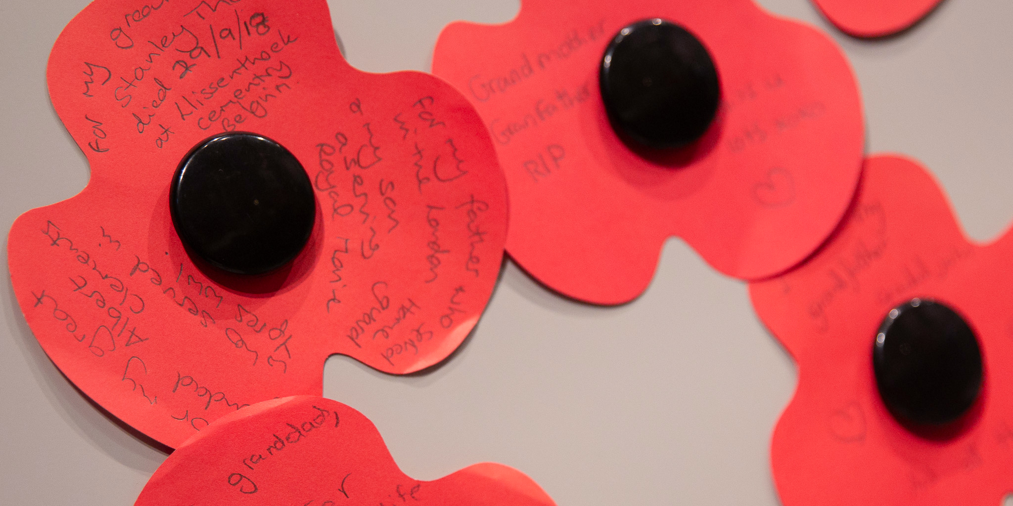 A close up of several poppy interactive showing hand written visitor messages