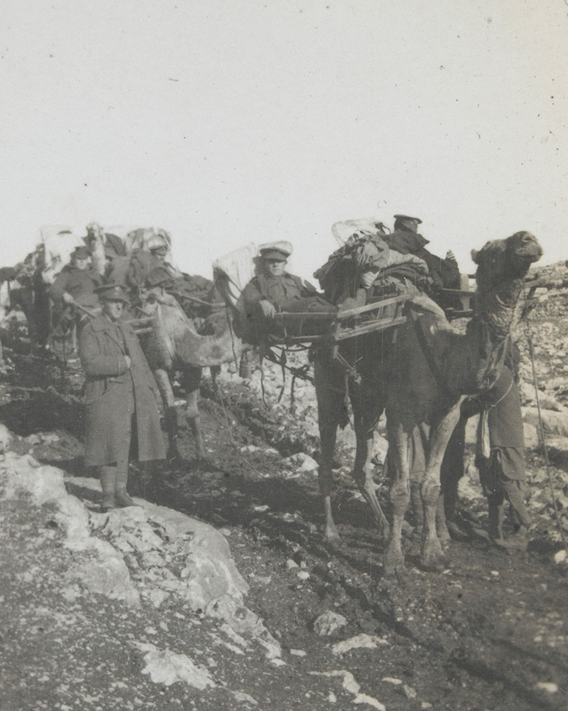 A wounded soldier being transported by camel, c1917