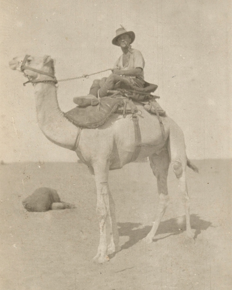 A soldier riding a camel, c1916