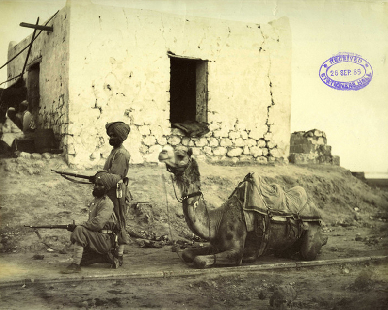 Camel Corps at the ready, c1884