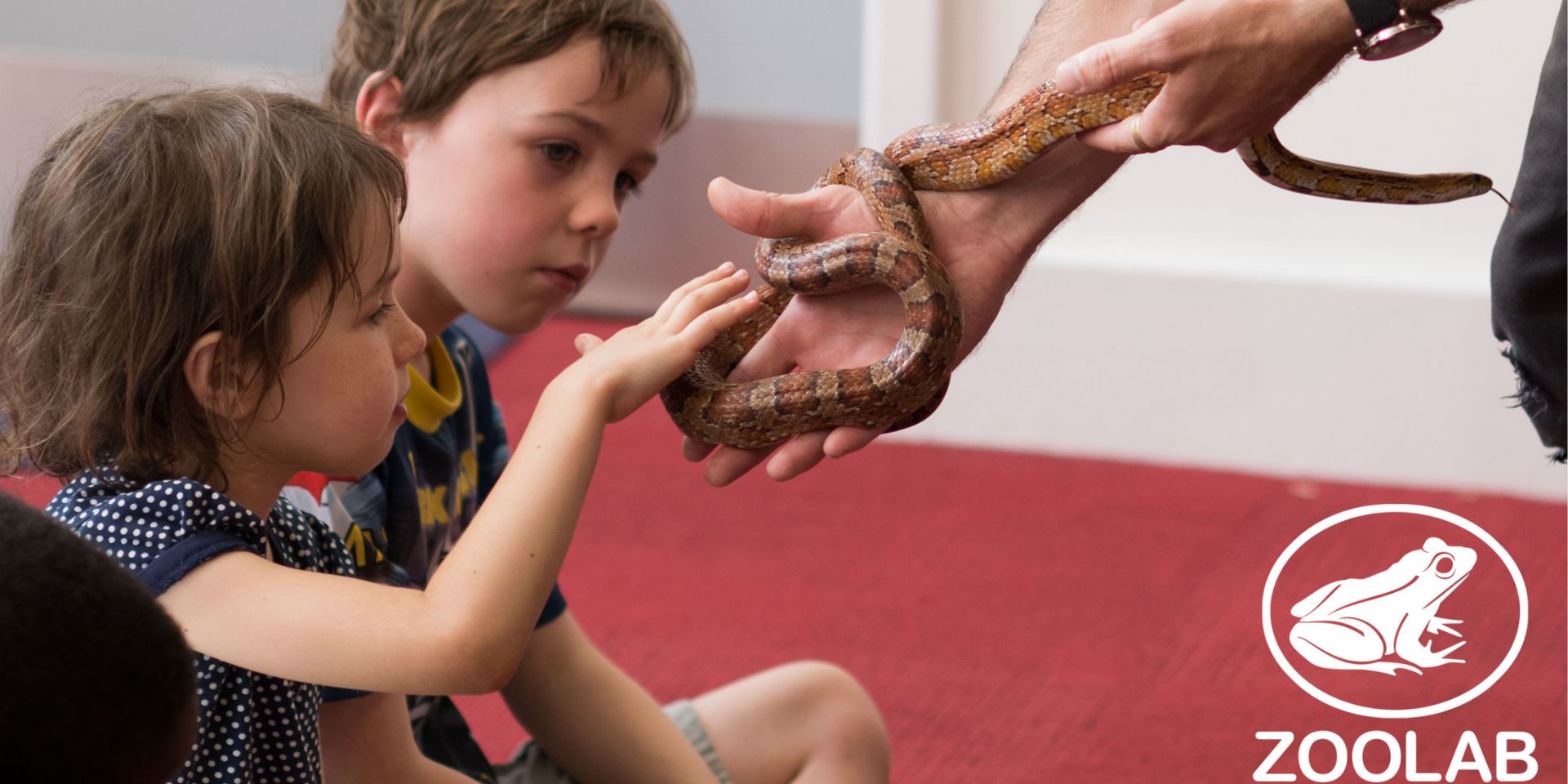 Children having a ZooLab encounter with a snake