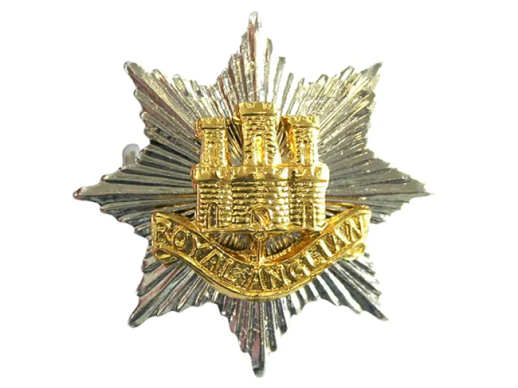 Army-Military Rajput Regiment Uniform Cap Badge (Indian Army Infantry  Regiments) (Rajput Regiment Head Badge Chrome)